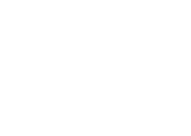 google-partner