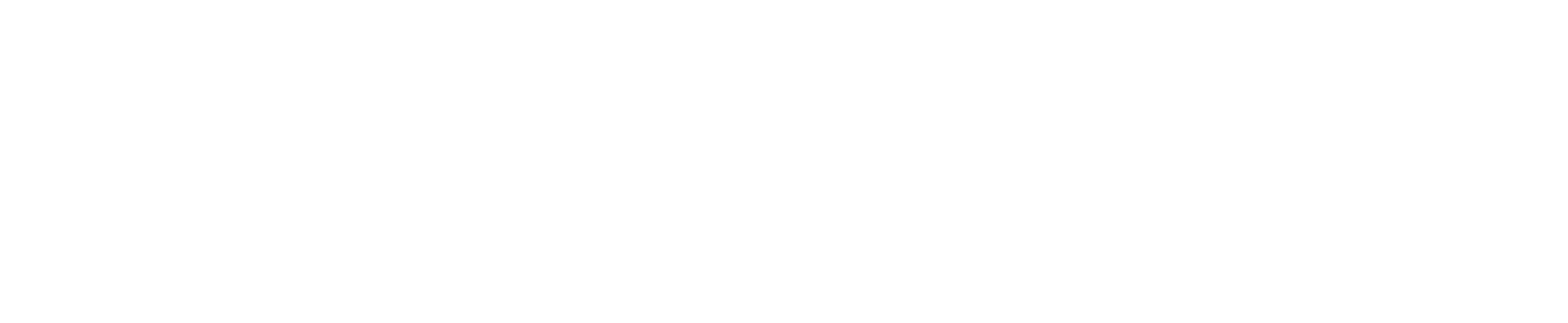logo-stringcan