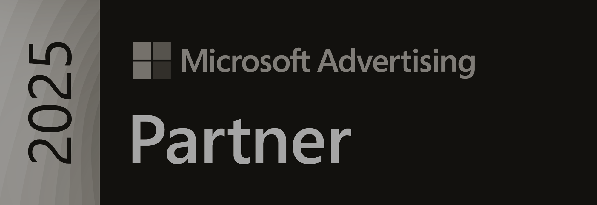 Microsoft Partner
