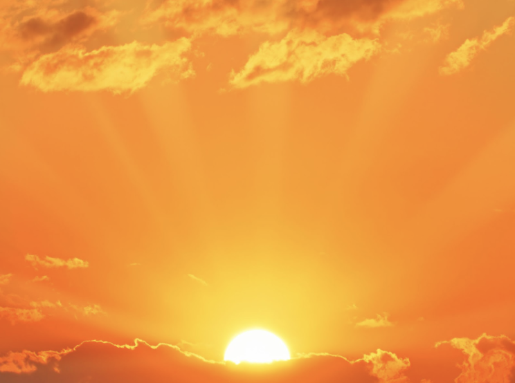 Blog Image