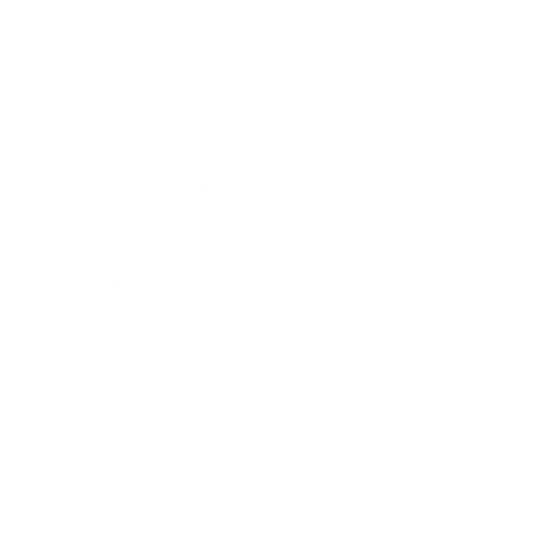 icon3