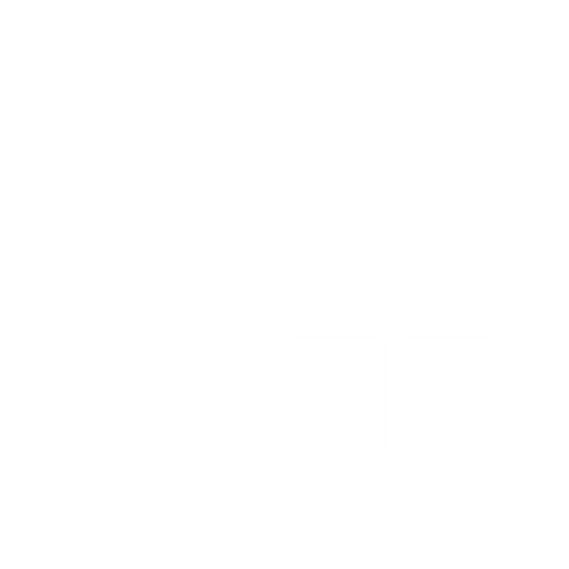 icon2