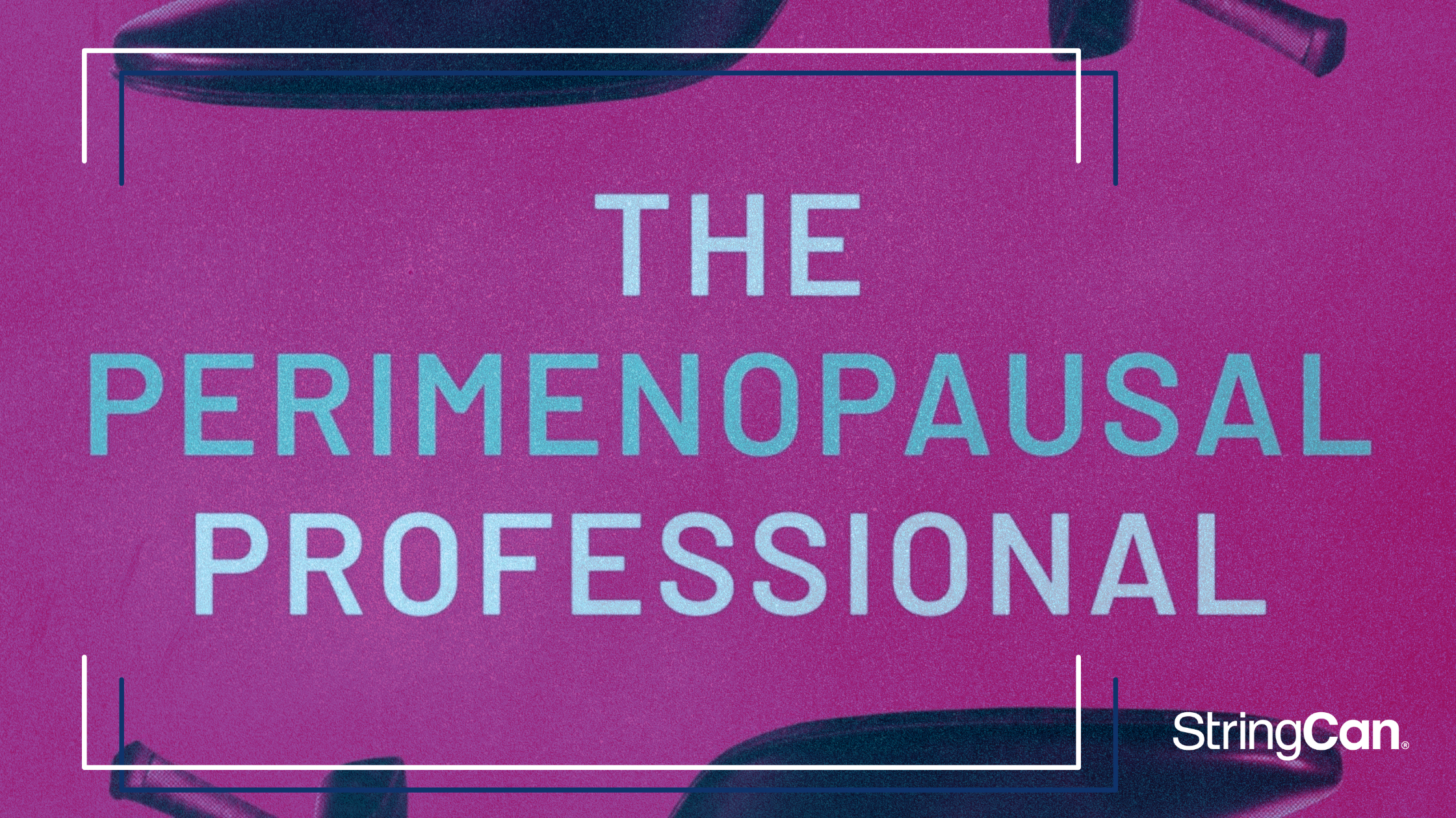 Why I Had to Write The Perimenopausal Professional