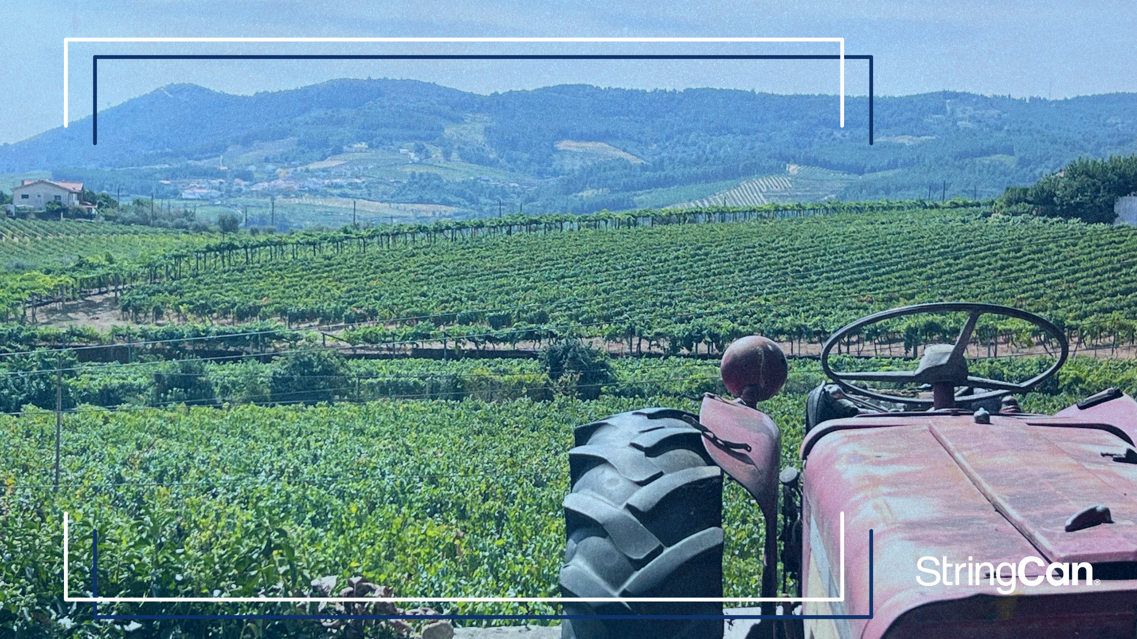 Leading With Long-Term Thinking When Everything Feels Urgent