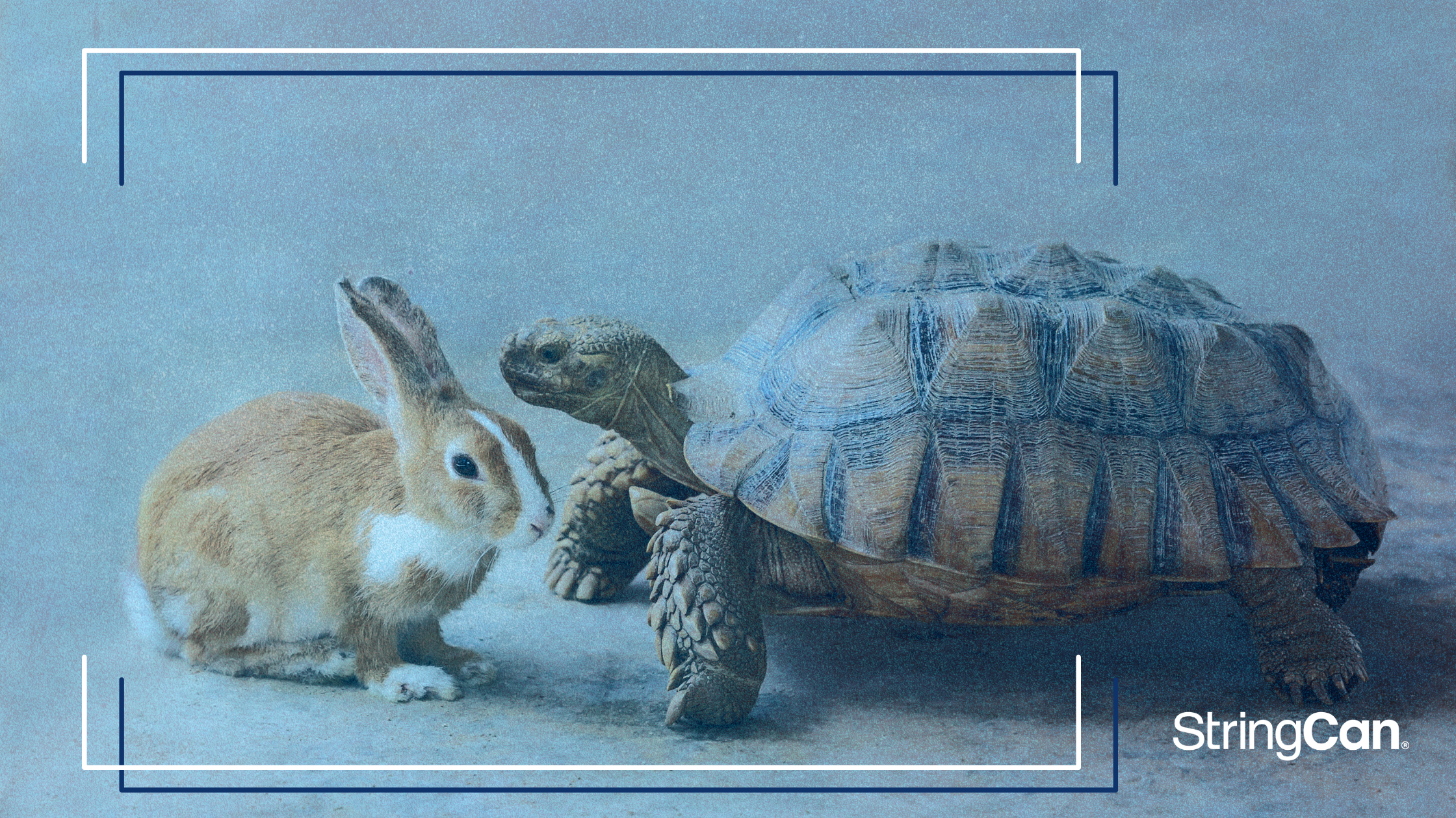 Why HubSpot’s Slow Sales Cycle Wins and How to Use Their Strategy
