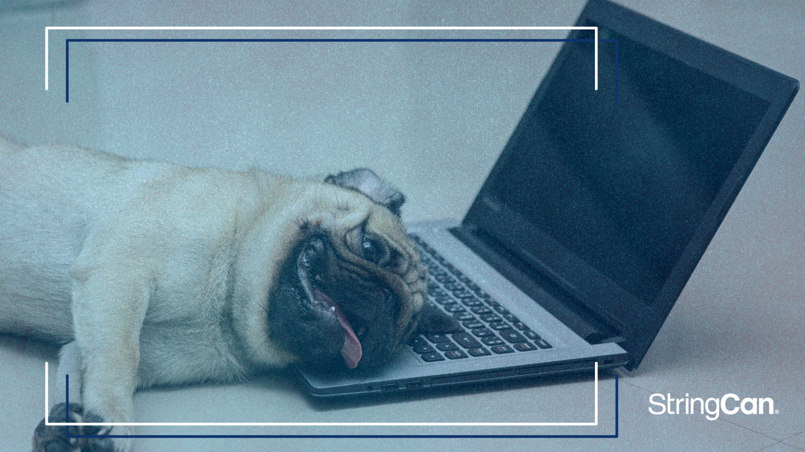 Your Sales Team Isn’t Broken — They’re Just Tired of Cleaning Up Your Marketing